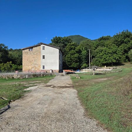 Tenuta D'Arienzo San Mauro la Bruca Kültér fotó